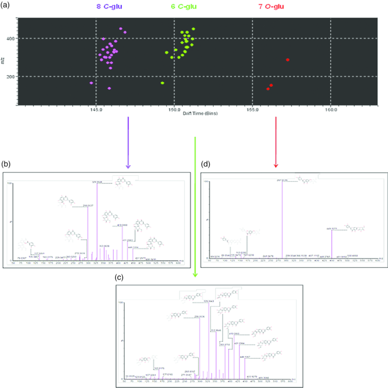 A wealth of new biosynthetic pathways from the global ocean microbiome