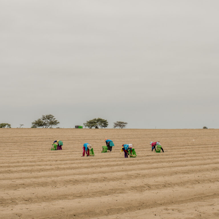 Climate change is turning more of Central Asia into desert