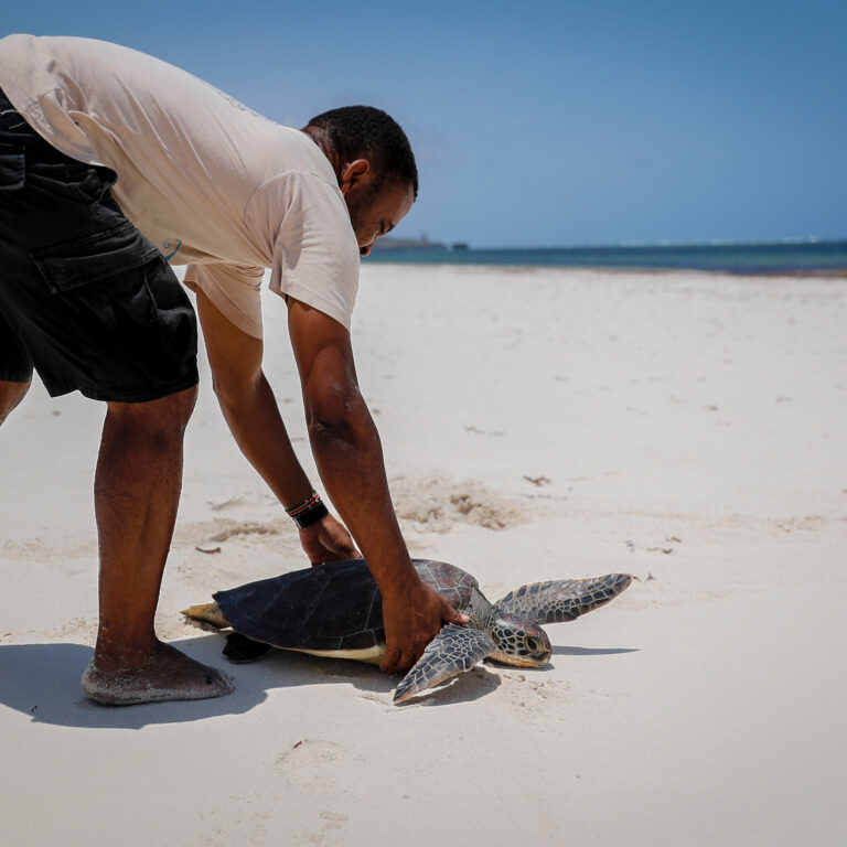 Major biodiversity summit will go ahead in Canada not China: what scientists think