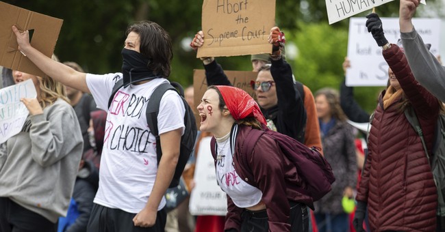 Kansas Pro-Life Constitutional Amendment Beaten by 20 Points Sends a Lesson to the Pro-Life Movement and a Life Line to the Left