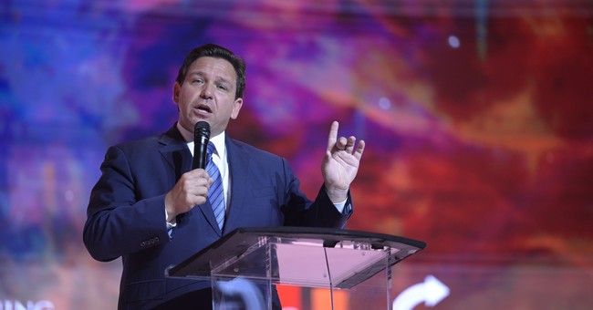 Ron DeSantis Rips IRS Expansion: ‘Middle Finger to the American People’