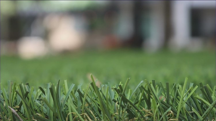 Having Texas native plants in your front yard helps fight wildfires and drought