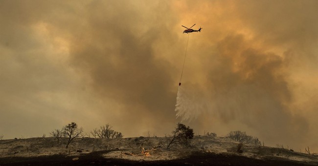 Man Tries to Light up a Bug, Ends up Burning Down a Mountain