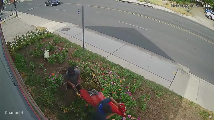 Caught on video: Thieves make off with 6-foot decor outside San Antonio business