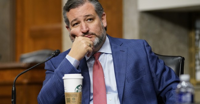 Ted Cruz Drops the Boot on FBI Director Christopher Wray During Hearing