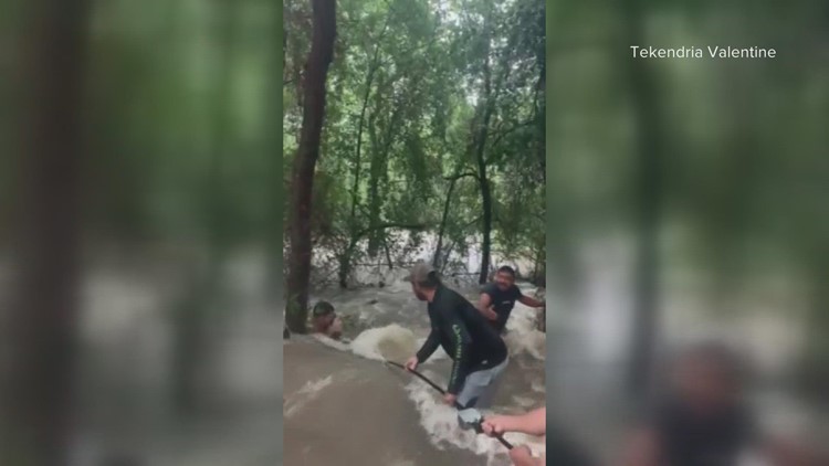 Video captures dramatic Dallas ISD rescue of kids clinging to tree in high water