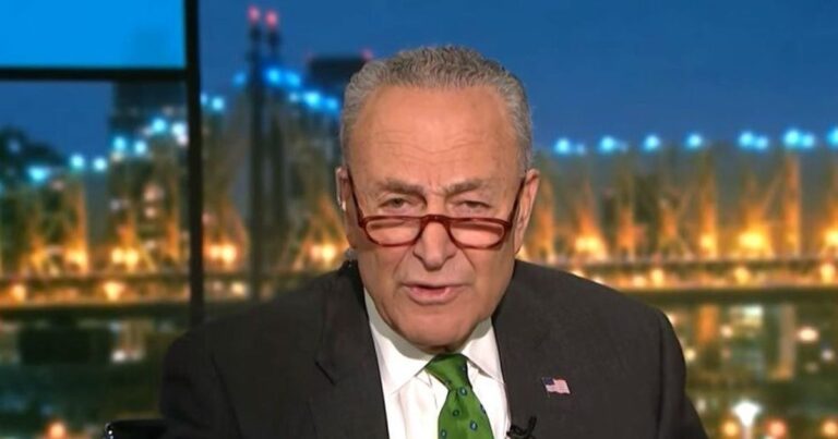 Watch: Chuck Schumer Sorta Gives the Game Away on FBI’s Mar-a-Lago Raid During Maddow Interview