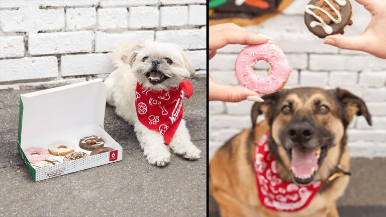 Krispy Kreme is celebrating National Dog Day with doggie doughnuts