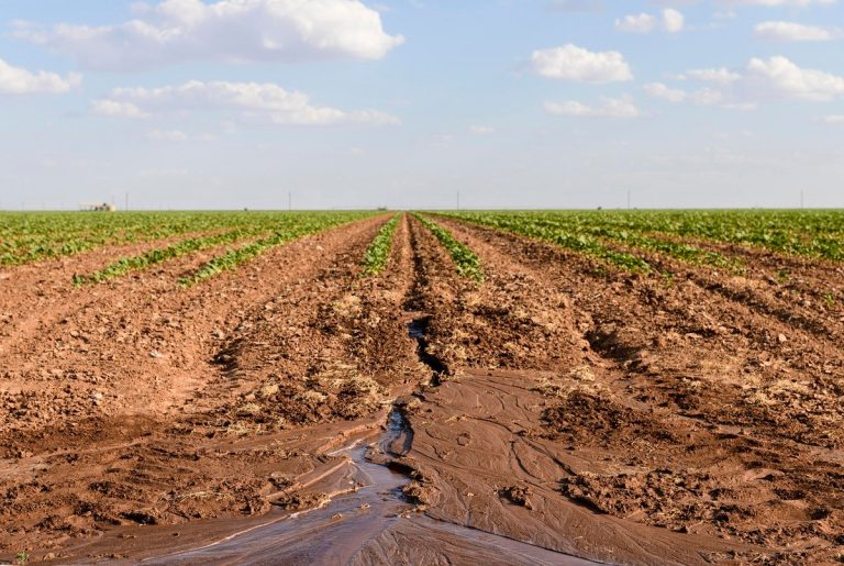 Texas is facing its worst drought since 2011. Here’s what you need to know.