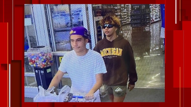 Duo goes on grocery shopping spree at Walmart without paying, Seguin Police say