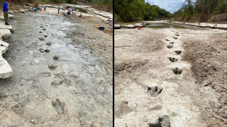 Excessive drought reveals 113-million-year-old dinosaur tracks at Texas state park