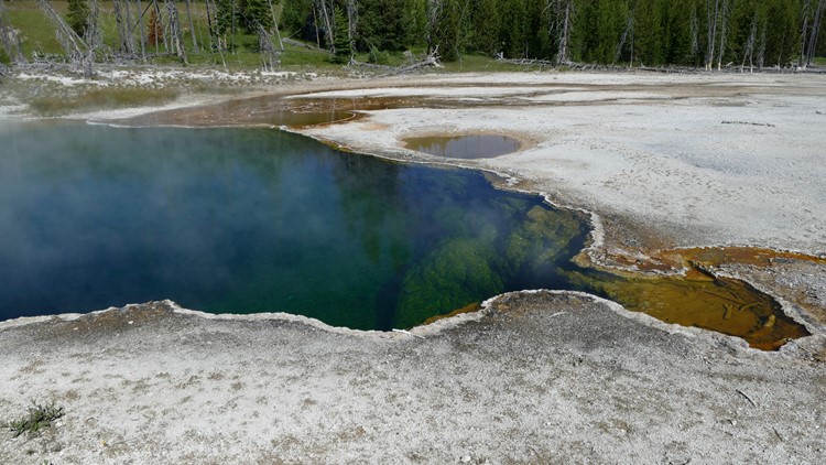 Part of a foot, in a shoe, spotted in Yellowstone hot spring