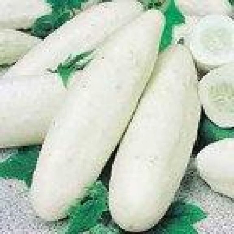 Kerabu Cucumber Salad