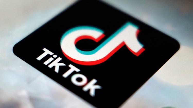 TikTok search results riddled with misinformation: Report