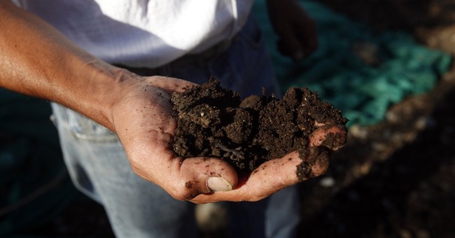 Human Composting Is Now Legal in California, Leading the Way to ‘Soylent Green’