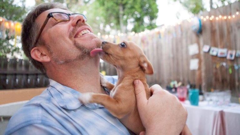 Dogs really do know when we’re stressed. They can smell it on us