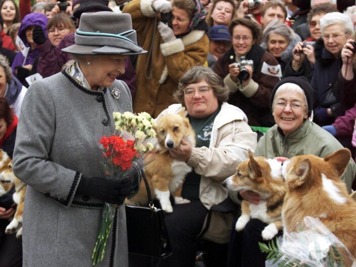 What will happen to Queen Elizabeth’s beloved corgis?