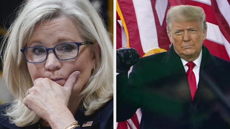 Liz Cheney says she will do whatever it takes to keep Donald Trump from the White House, even if it means leaving the GOP