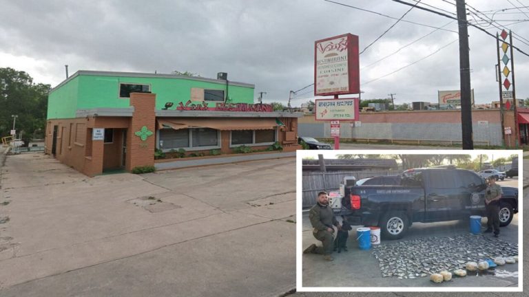 Broadway staple named as restaurant where Texas Game Wardens seized more than $25,000 in shark fins