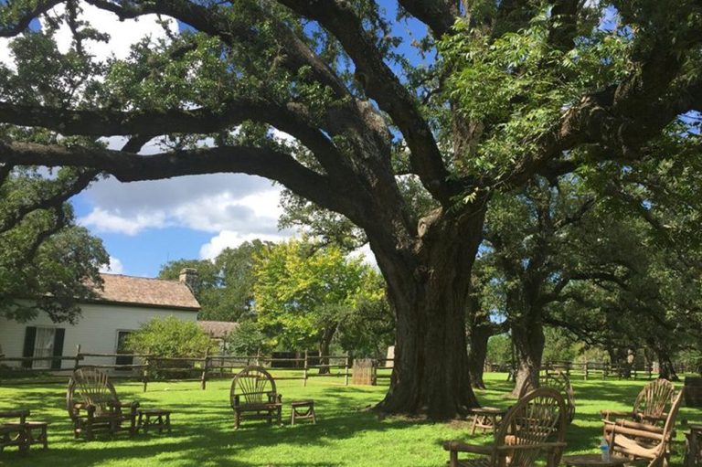 Celebrate the start of fall at the Dripping Springs Pumpkin Festival