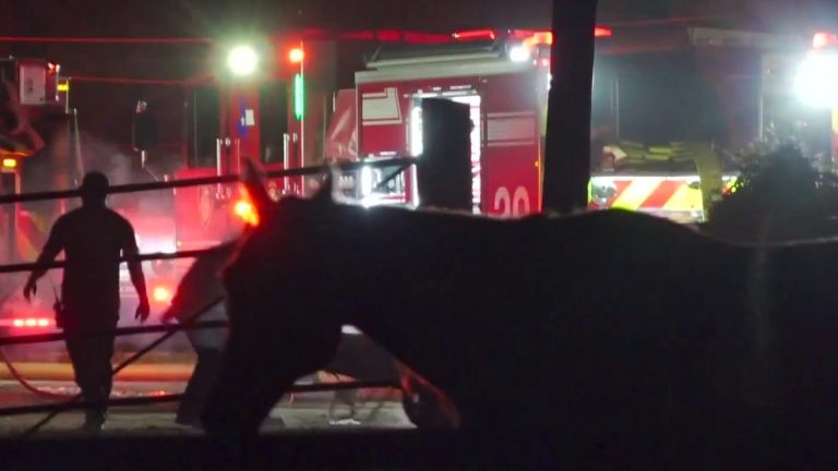 As many as 20 horses killed in barn fire in Northeast Houston, authorities say