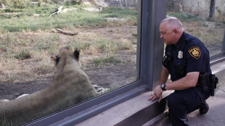 San Antonio Zoo extends free admission for frontline heroes through Oct. 16