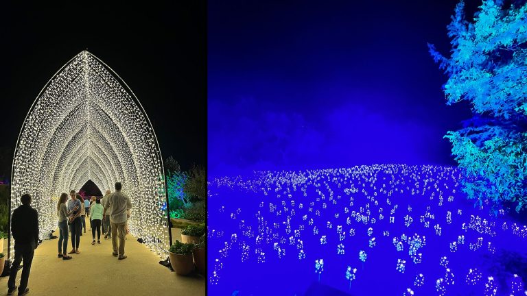 San Antonio Botanical Garden announces VIP night for upcoming Lightscape installation