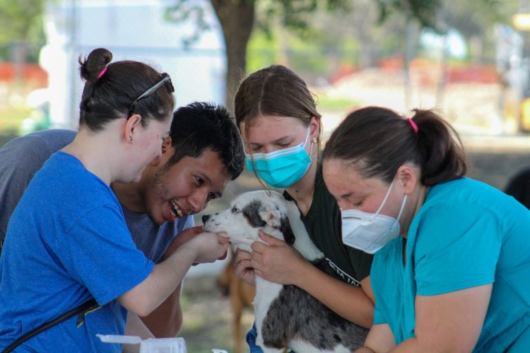 Animal Defense League partners with All American Car Wash for a grand opening fundraiser