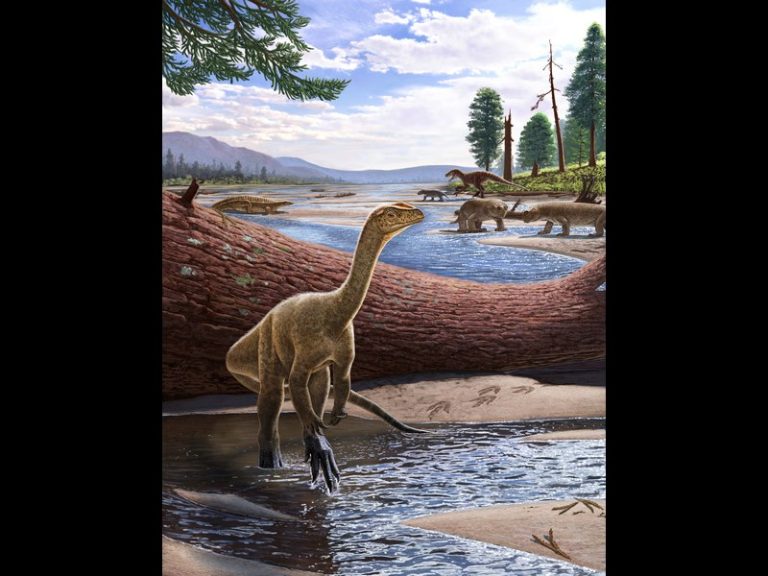 Scientists Unearth Africa’s Oldest Known Dinosaur, Filling a Critical Gap in the Fossil Record