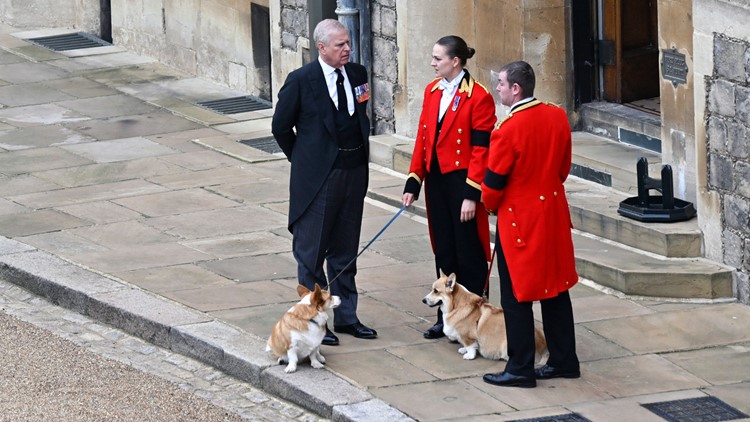 Queen Elizabeth’s corgis: Prince William says they’re ‘going to be looked after fine’