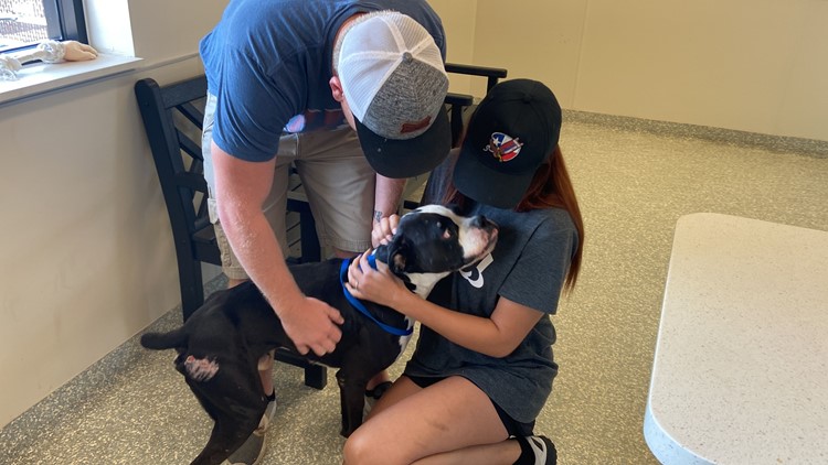 Houston family reunited with dog after he went missing a year and a half ago