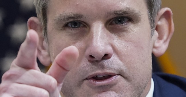 Update: Adam Kinzinger’s Smear Campaign Against a Private Citizen Is Not Going Well