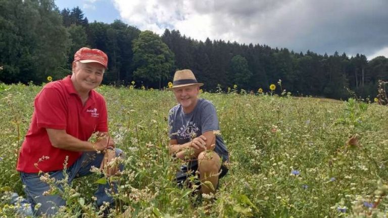 Beekeeper Shocked When Neighbor Gives Up Farmland to Host Hives: “I’ve never experienced anything like that.”