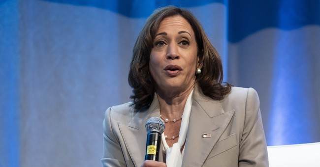 Buses of Illegal Immigrants Arrive at Kamala Harris’ House, Shrieking Ensues