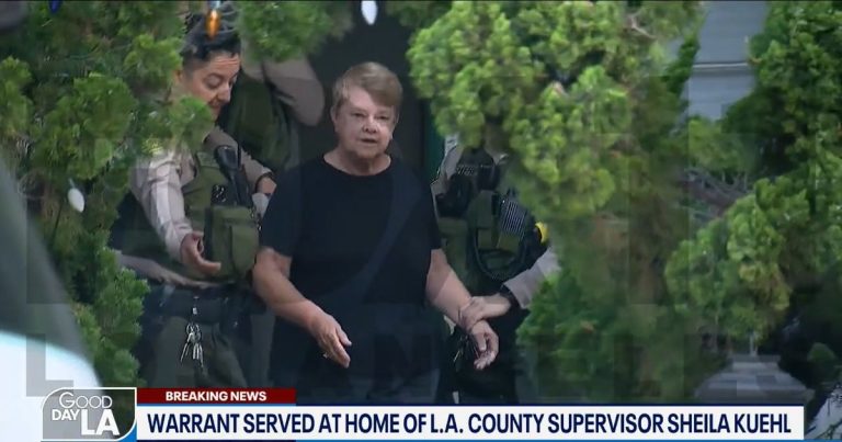 NEW: Alleged Court Filing With Sheila Kuehl’s Text Messages From Night Before LA Sheriff Raid Leaked