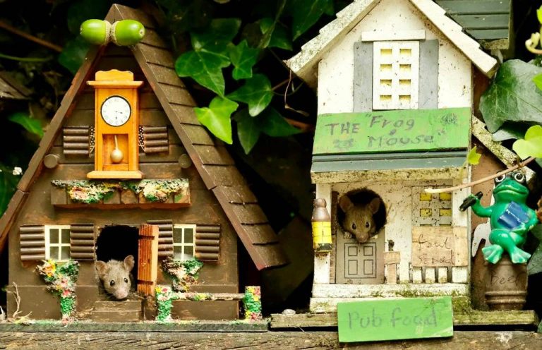 Mice Families Move into Dream Village Built By Gardener–And Are Hand Fed Flowers Every Day – LOOK