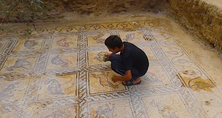 Exquisite Mosaic Unearthed by Farmer Planting Olive Tree, ‘Perfectly Preserved’ From Byzantine Era