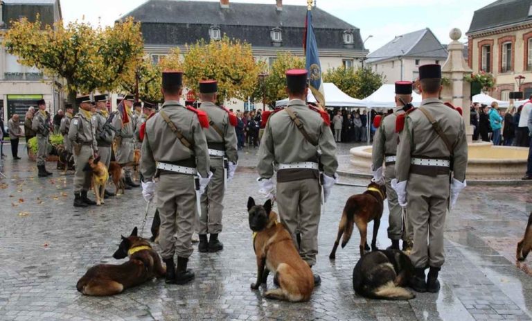 First French Memorial for ‘Hero Dogs’ Honoring Their Military Service With New Monument – LOOK