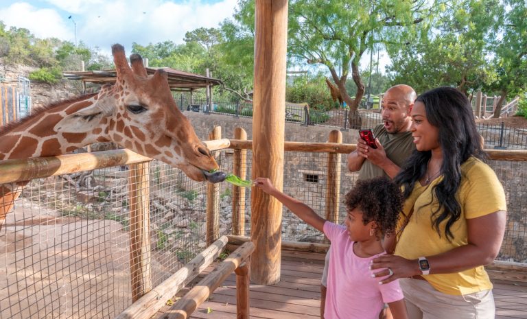 Texas teachers get 50% off admission to San Antonio Zoo for limited time