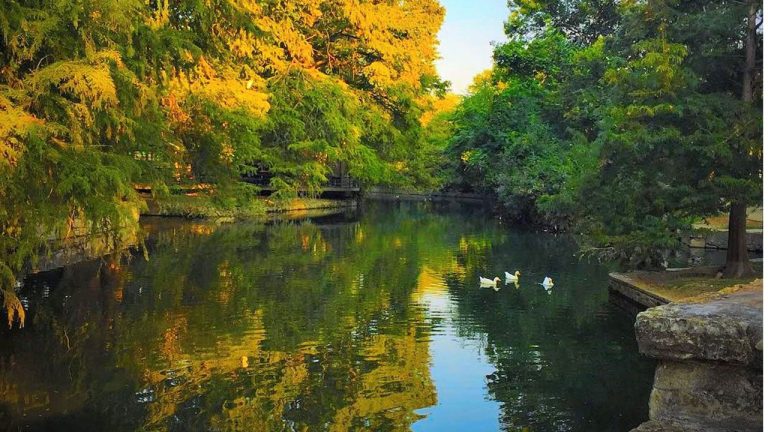 Free fishing clinic for kids to take place at Brackenridge Park