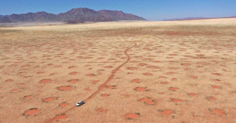 Secrets of Namibia’s Fairy Circles Were Demystified After Half Century