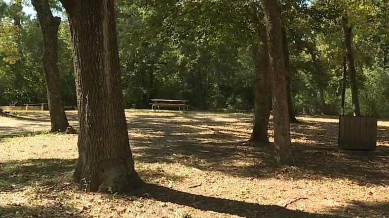 Child dies after being stabbed by mother at park, Harris County Sheriff says