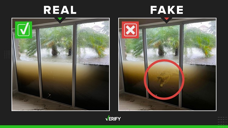 Fakes exist, but the original photo showing windows holding back a wall of water during Hurricane Ian is real