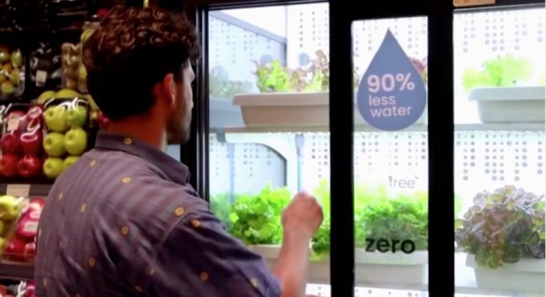 Lettuce is Grown Right Inside the Supermarket to Sell Without Packaging—a Hydroponic Garden in a Fridge