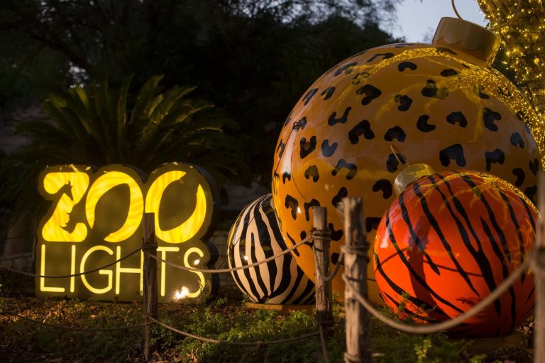 San Antonio Zoo Lights returns on Nov. 19