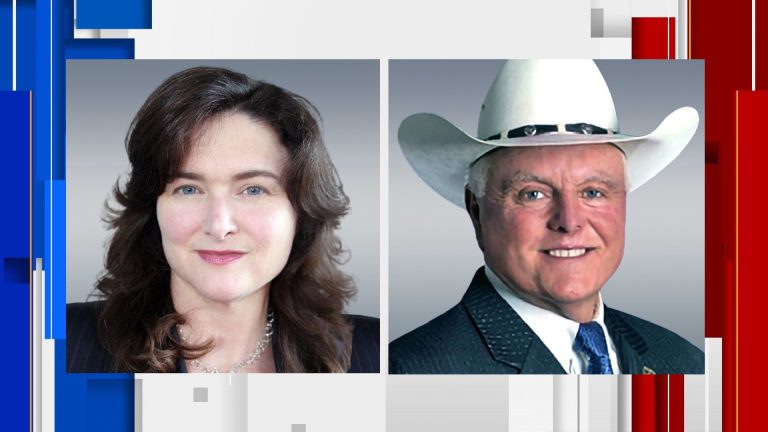 Texas Agriculture Commissioner election results for Texas midterms