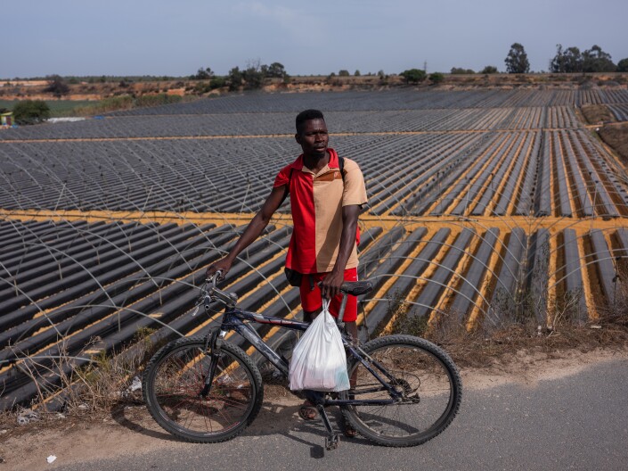 These are the migrants who plant and pick the strawberries in your supermarket