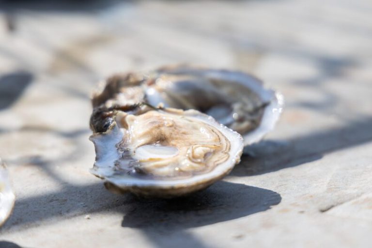 Texas oyster season starts with more than half of the state’s reefs closed