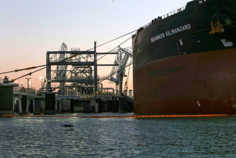 Texas activists arrested in D.C. during protest against offshore oil export facility