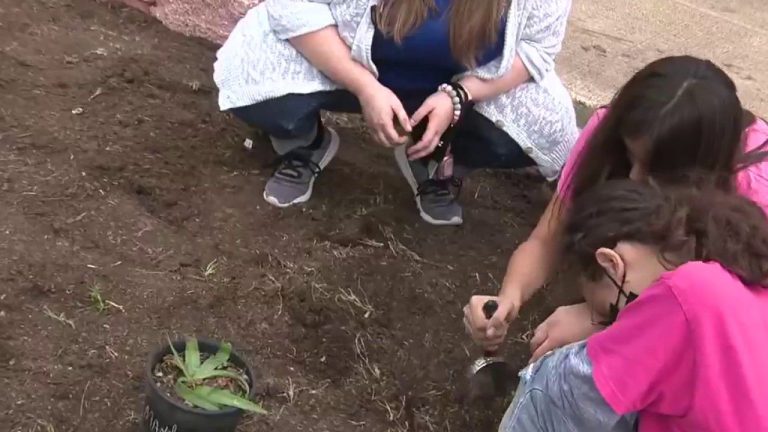 Fenwick Academy students create garden for monarch butterflies